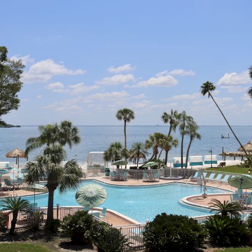 A resort pool area with palm trees overlooks a calm ocean, featuring lounge chairs and umbrellas, under a clear blue sky.