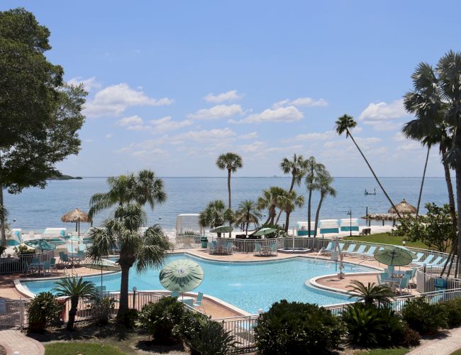 A resort pool area with palm trees overlooks a calm ocean, featuring lounge chairs and umbrellas, under a clear blue sky.