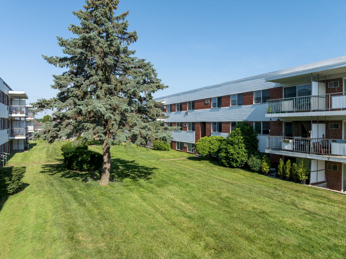 The image shows a grassy courtyard with a large tree, flanked by two multi-story residential buildings under a clear blue sky.