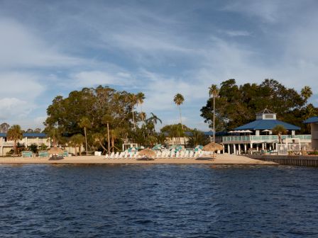 A beachside resort with loungers, palm trees, and buildings by the water under a clear sky.