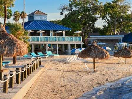 A beach scene with a sandy shore, palm trees, a building, and thatched umbrellas under a clear blue sky.